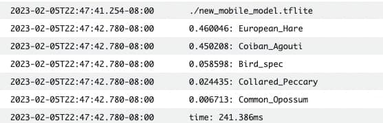 Cover image Wildlife Detector Python Lambda Functions